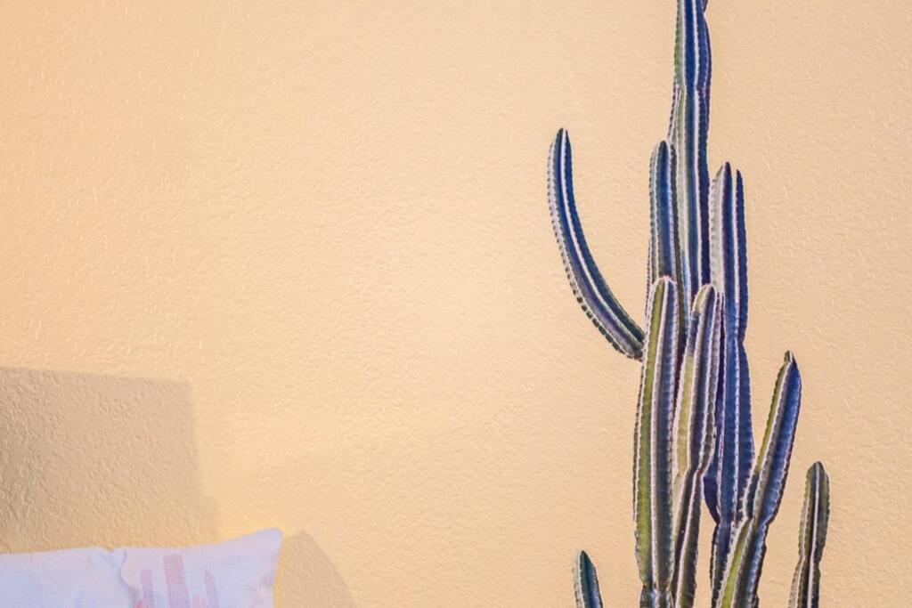 New! Jt Sunshine House Cozy, Artsy & Comfy, Dog Friendly, 3Bd Villa Joshua Tree Buitenkant foto